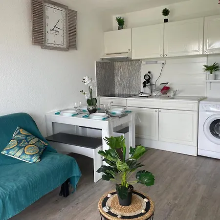 Appartement 151 Cap D'agde, Résidence Indes Galantes Quartier Môle, Avec Terrasse Agde